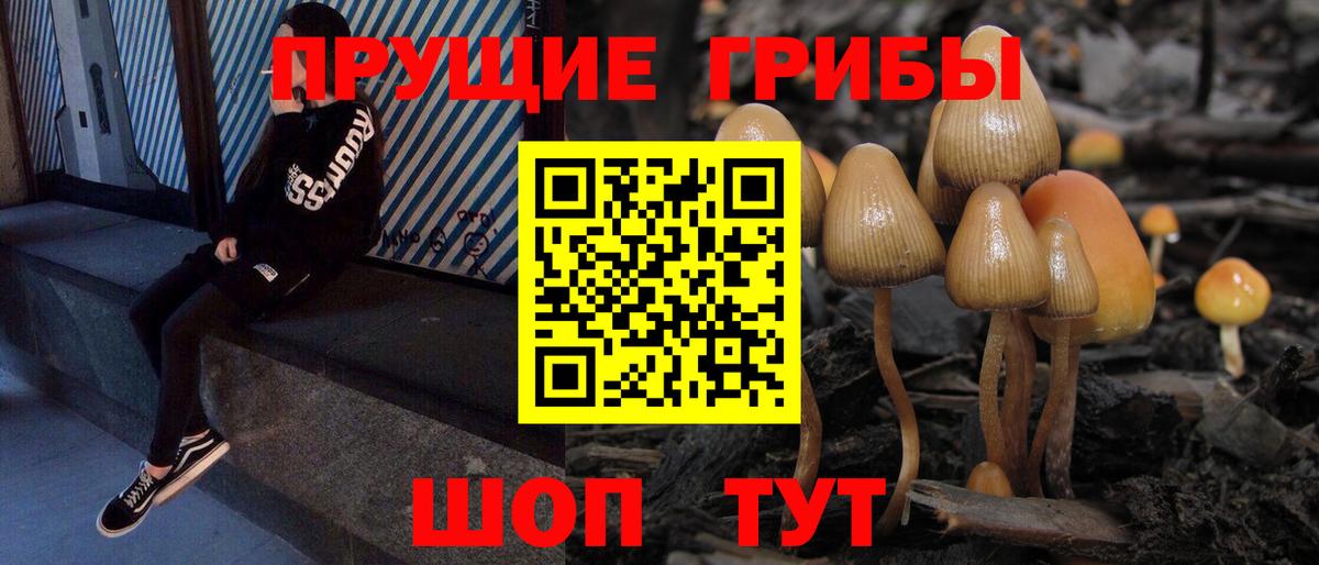 Галлюциногенные грибы прущие грибы Лангепас